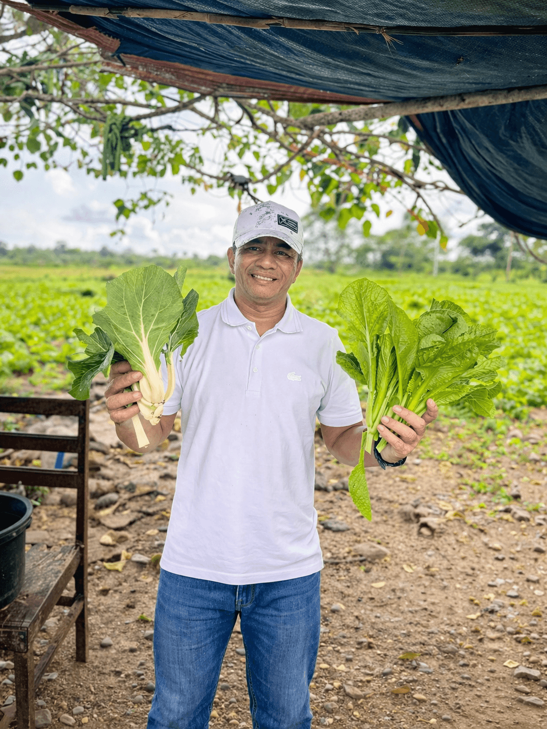 Noel Tolentino holding fresh harvested vegetables