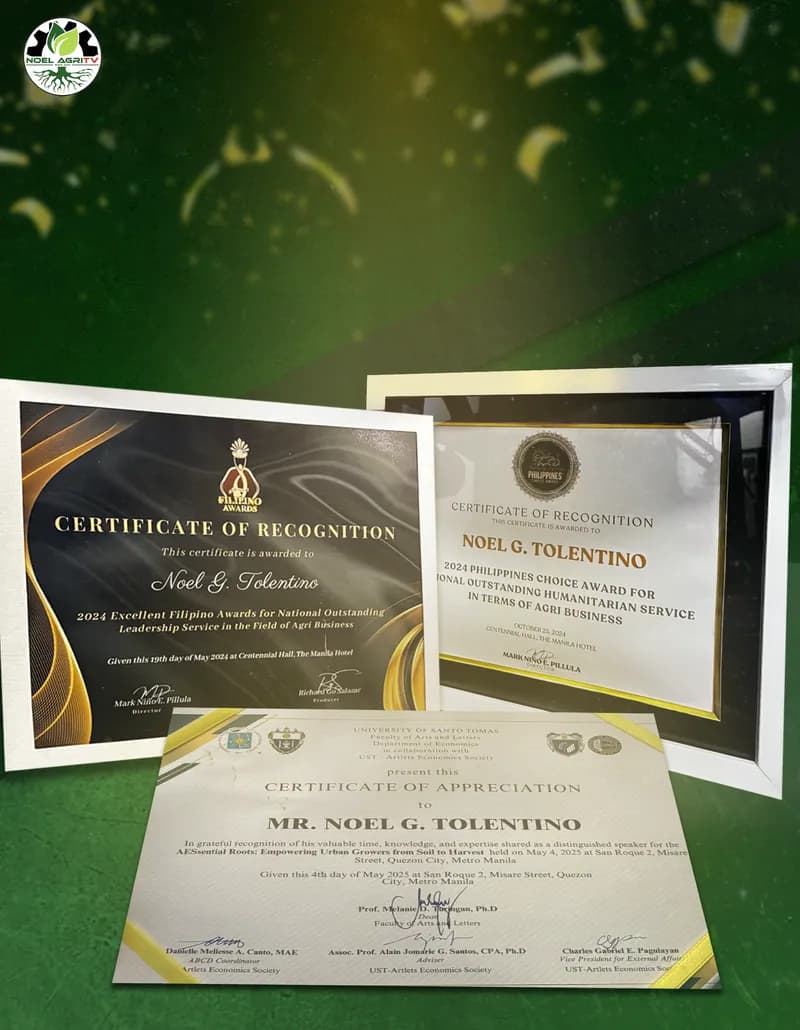 Certificates of Recognition & Appreciation
