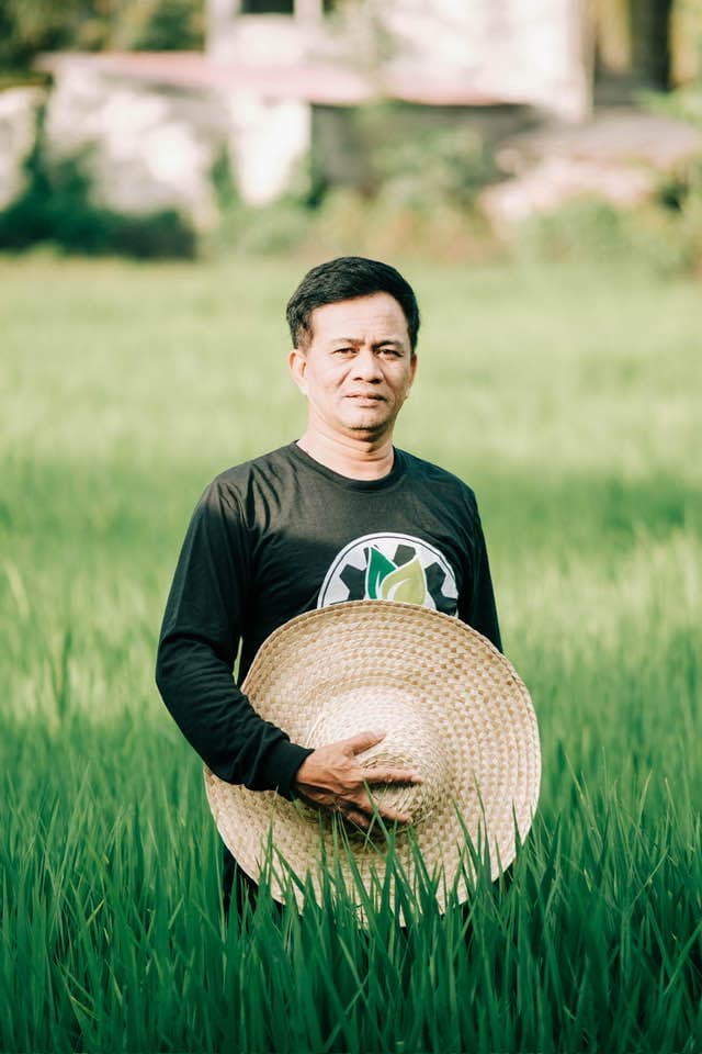 Si Noel Tolentino na nakatayo sa palayan