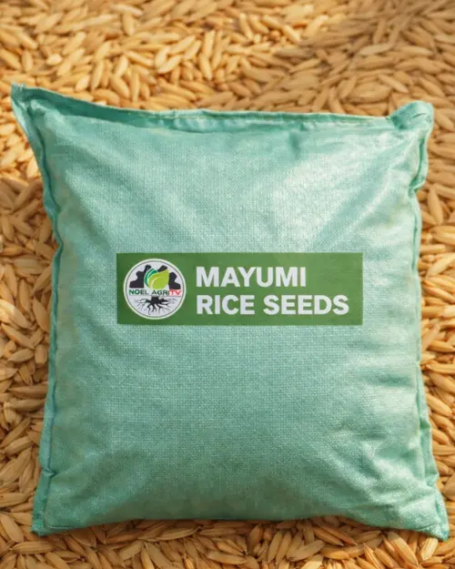 Mayumi Rice Seeds