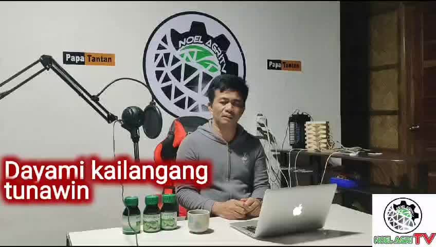 Pang Lusaw ng Dayami sa Palayan