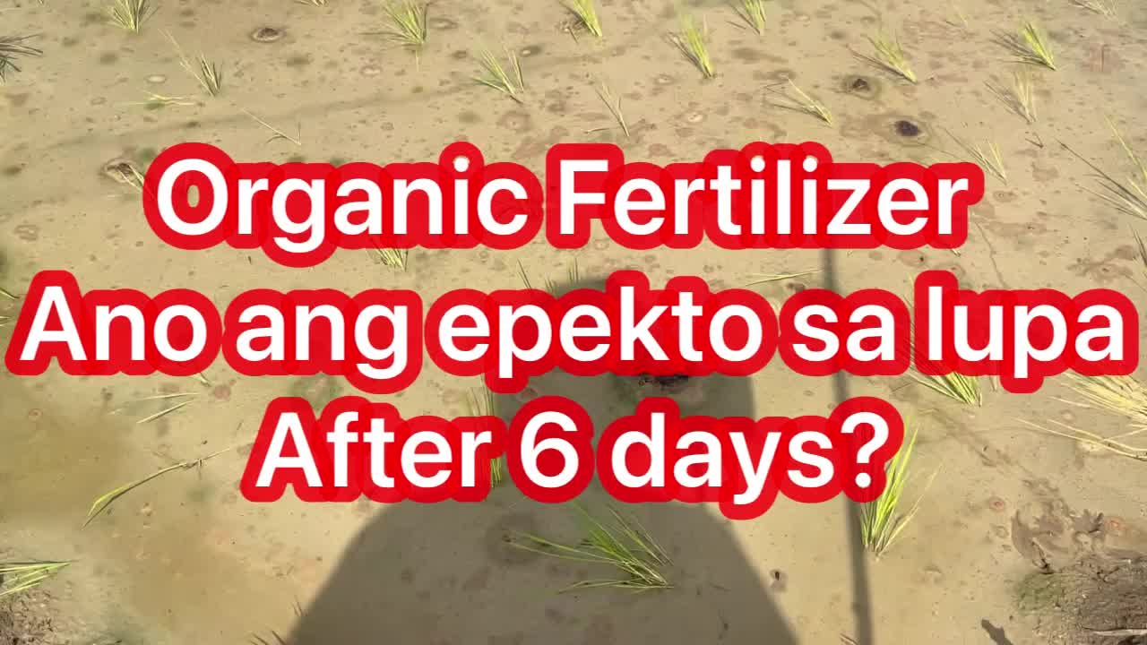 Gayahin Nyo To — Tapos na ang Problema