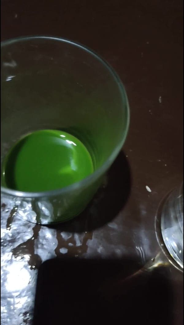 Malunggay Leaves — Vitamins, Minerals & Anti-Oxidant