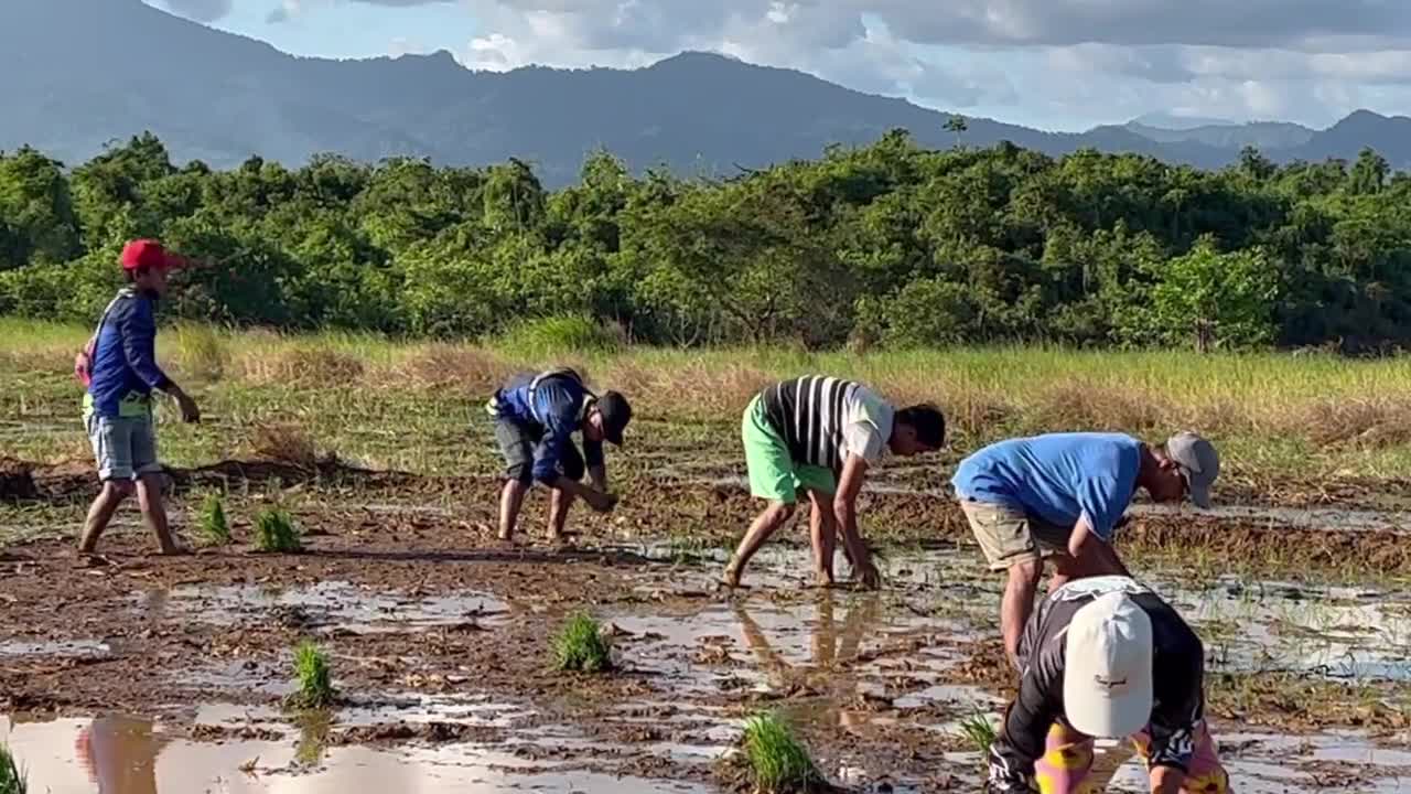 Salvador Herbicide sa Organic Fertilizer Demo
