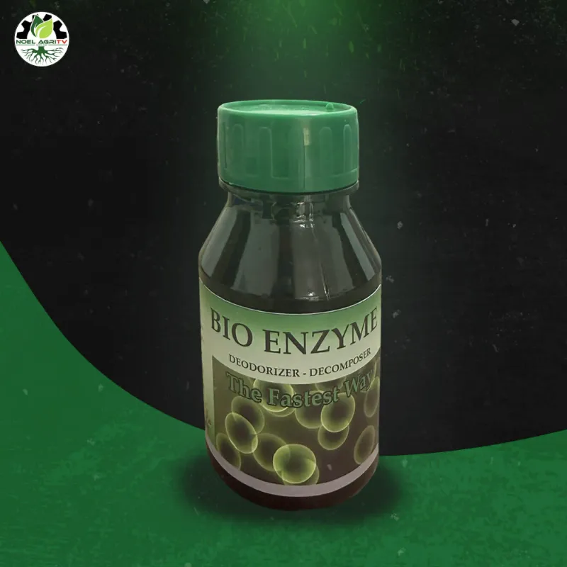 Bio Enzyme